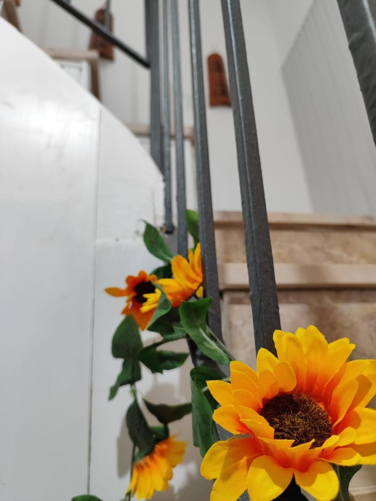 Casa Vacanze Con Giardino I Girasoli - Cin It 09006 - 9 C 2000 R4042- Сорсо Екстериор снимка